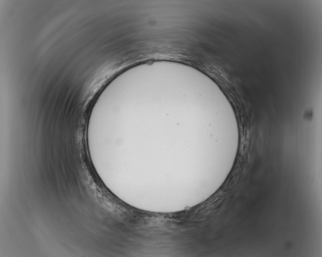 X0000116030098200912111425