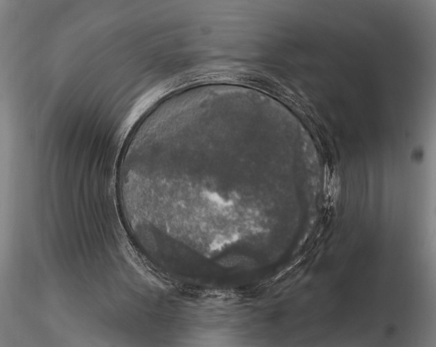 X0000116030099200912111425