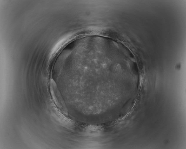 X0000116030101200912111425