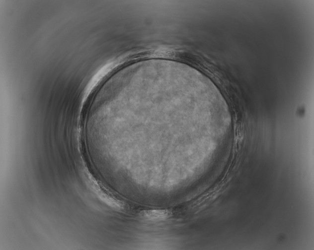 X0000116030102200912111425