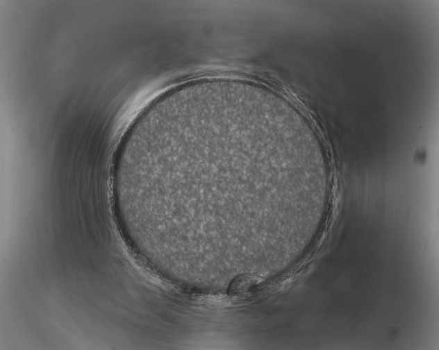 X0000116030103200912111425