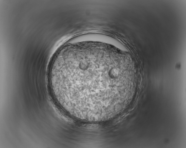 X0000116030104200912111425