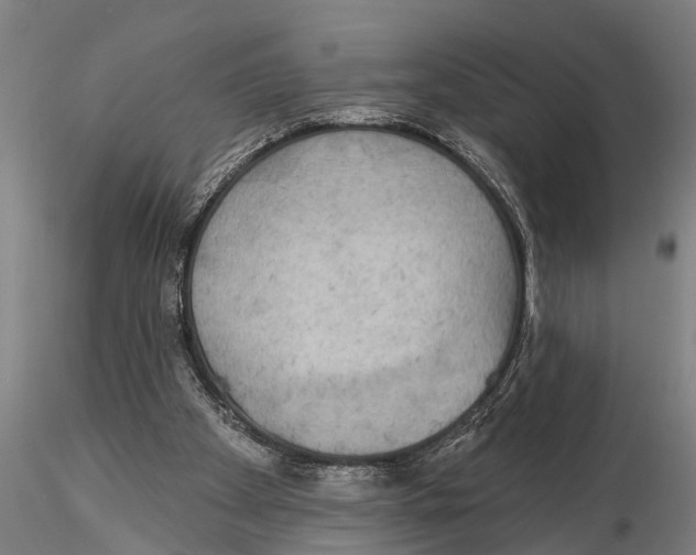 X0000116030105200912111425
