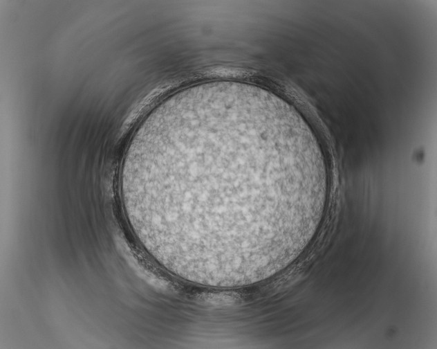 X0000116030106200912111425