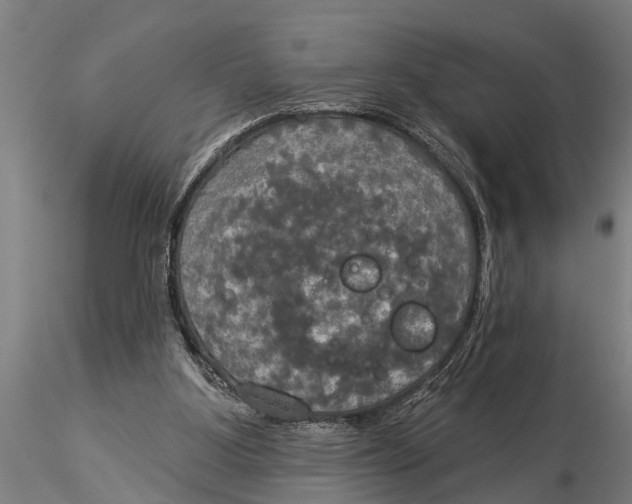 X0000116030107200912111425