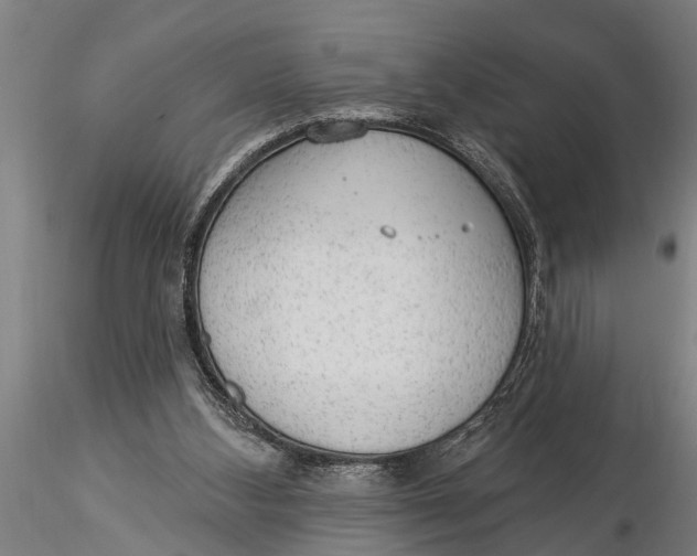 X0000116030108200912111425