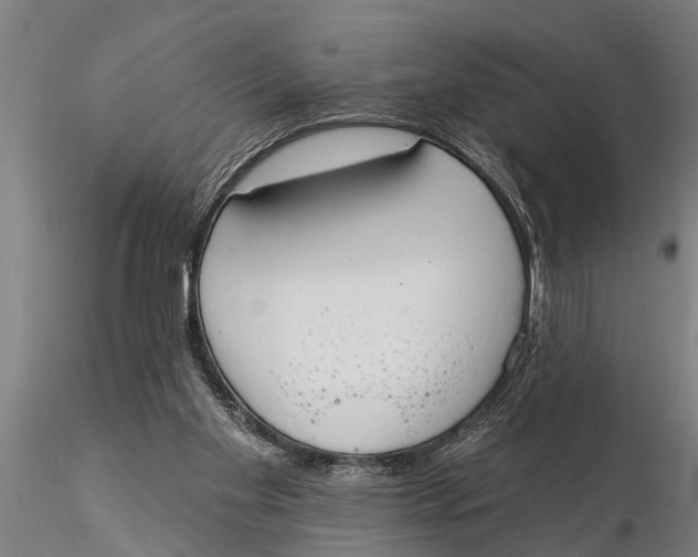 X0000116030109200912111425