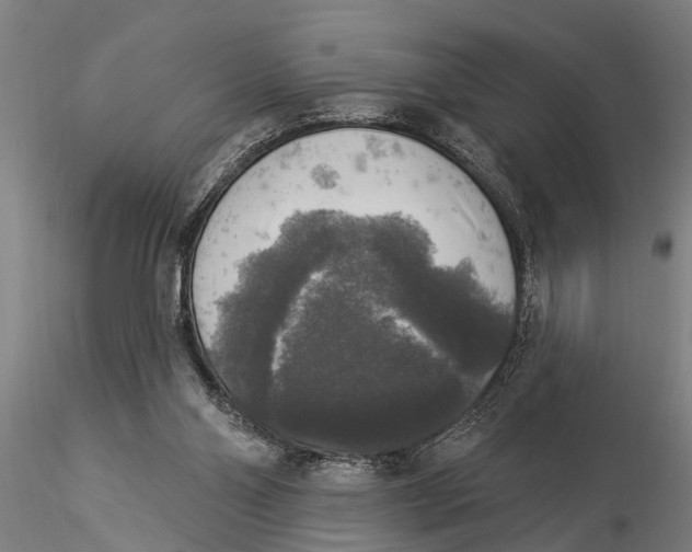 X0000116030110200912111425