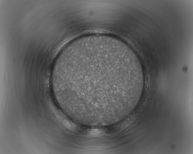 X0000116030111200912111425