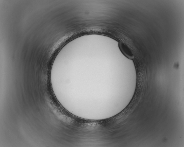 X0000116030112200912111425