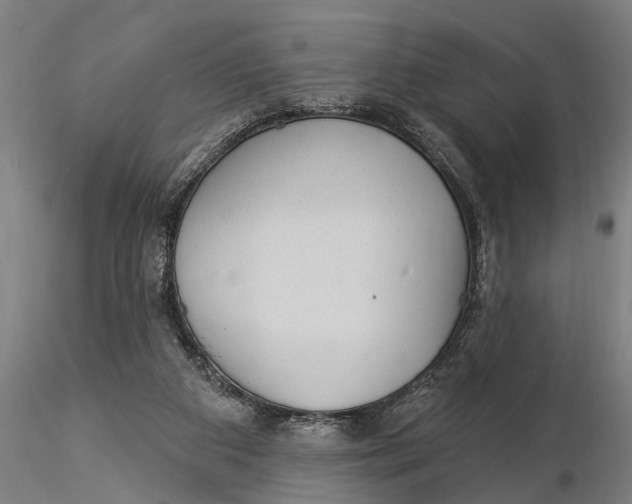 X0000116030113200912111425