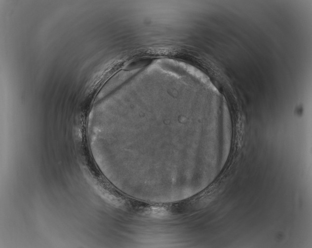 X0000116030114200912111425