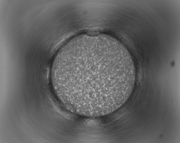 X0000116030115200912111425