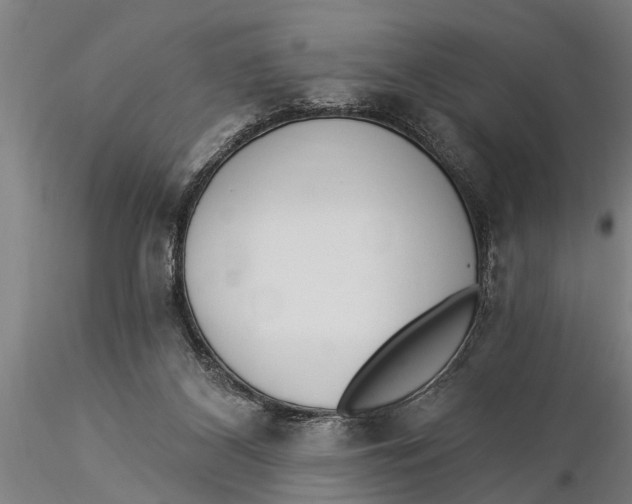 X0000116030116200912111425