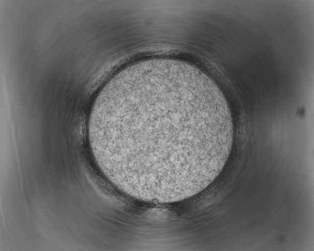 X0000116030119200912111425