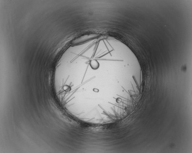 X0000116030120200912111425