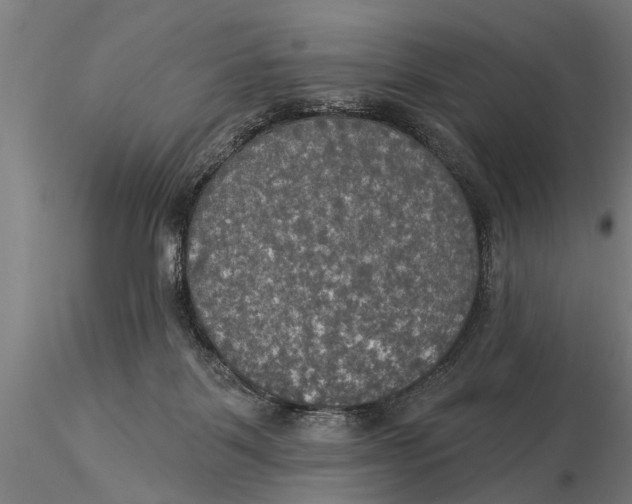 X0000116030123200912111425