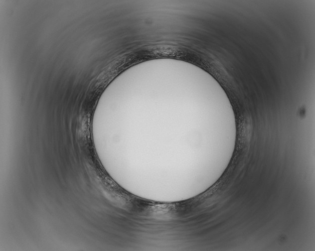 X0000116030126200912111425