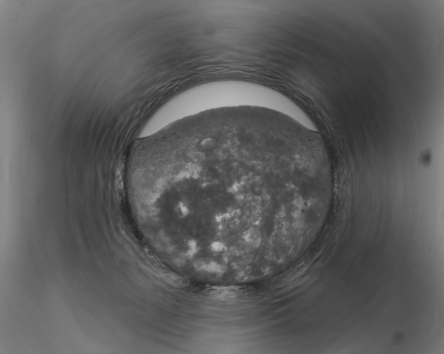 X0000116030127200912111425