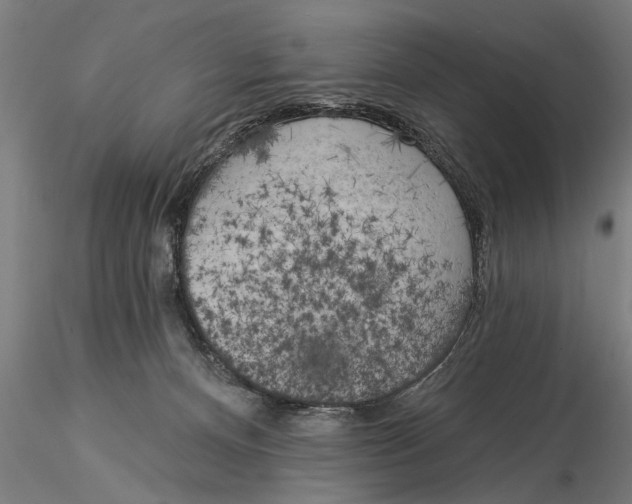 X0000116030128200912111425