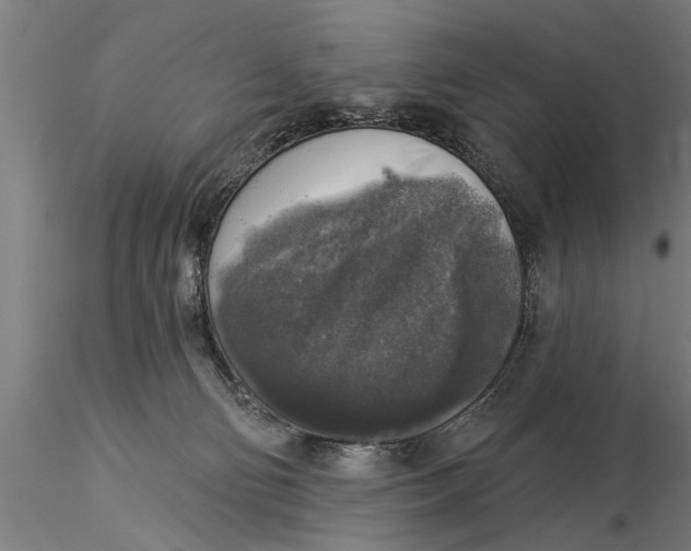 X0000116030130200912111425