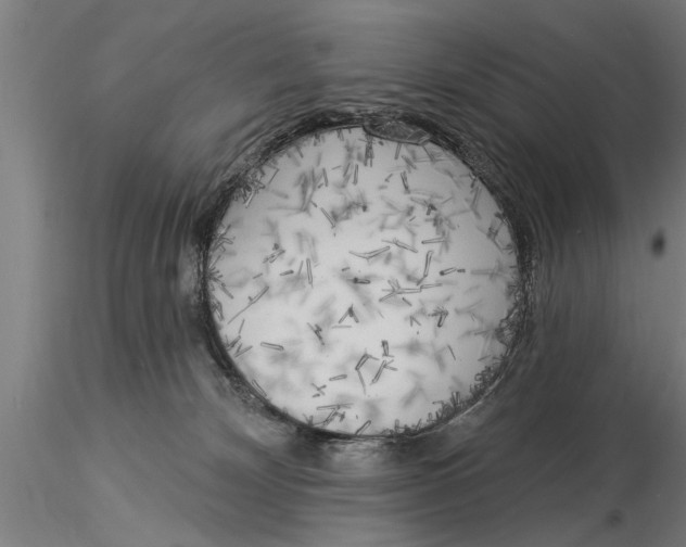 X0000116030132200912111425