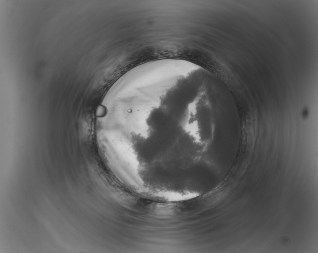 X0000116030134200912111425