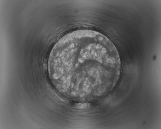 X0000116030135200912111425