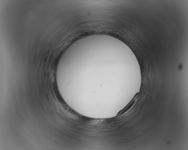 X0000116030136200912111425