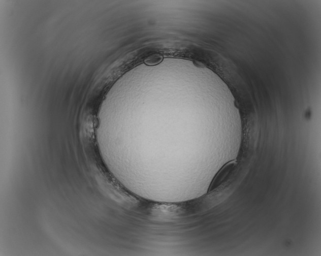 X0000116030137200912111425