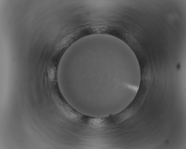 X0000116030139200912111425