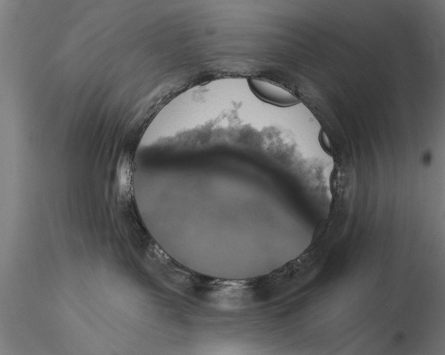 X0000116030143200912111425