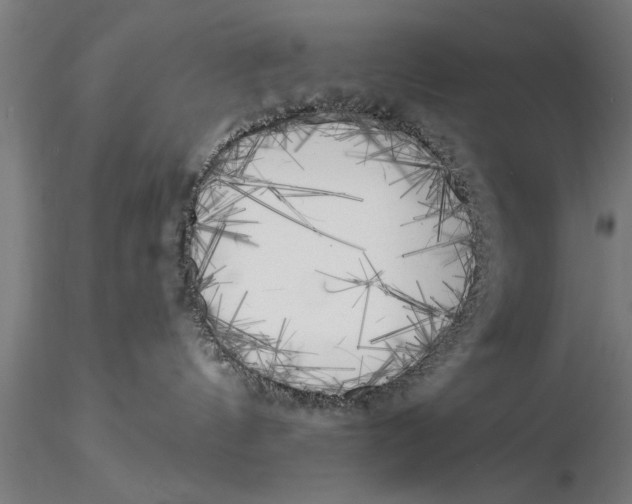 X0000116030144200912111425