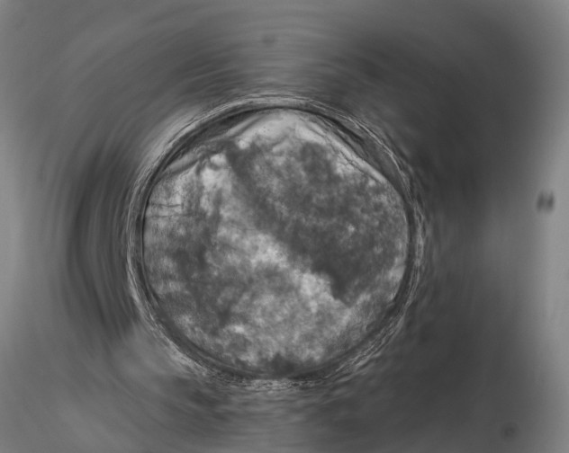 X0000116030145200912111424