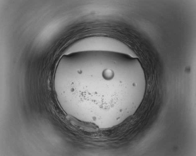 X0000116030146200912111424