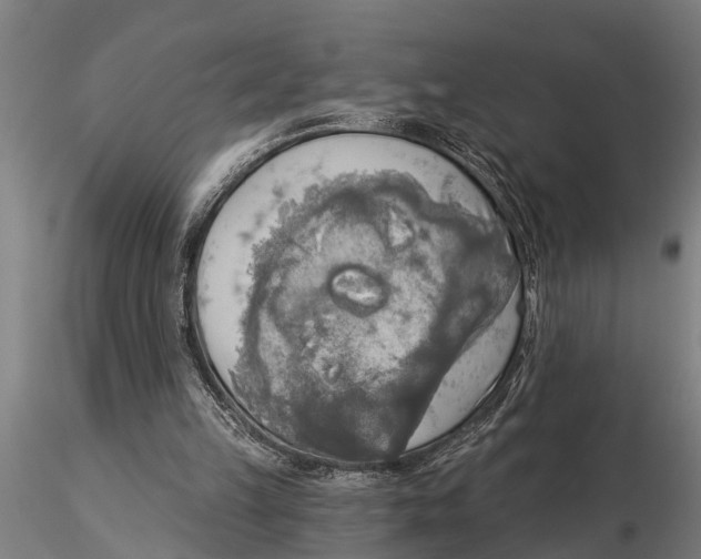 X0000116030149200912111424