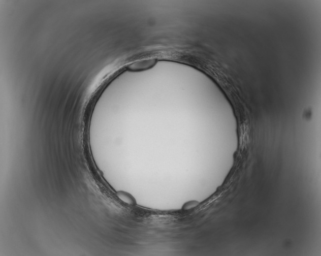 X0000116030150200912111424