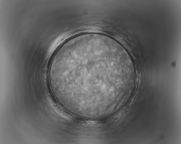 X0000116030151200912111424