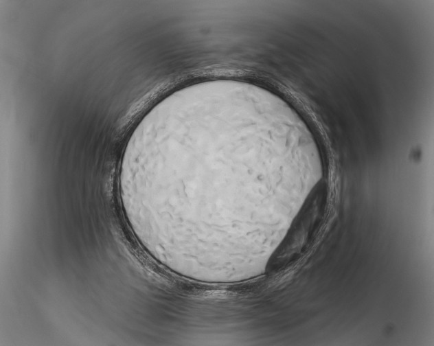 X0000116030153200912111424