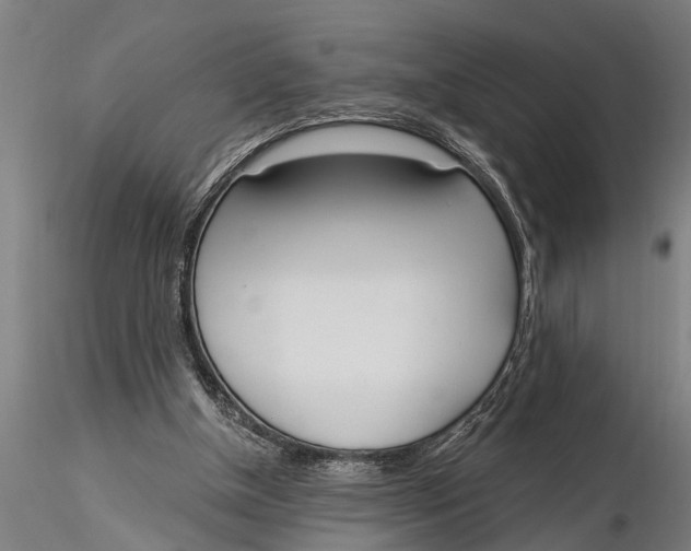 X0000116030154200912111424