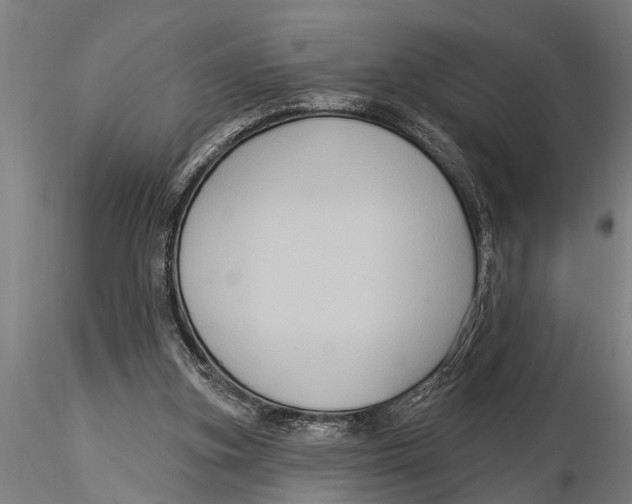 X0000116030155200912111424