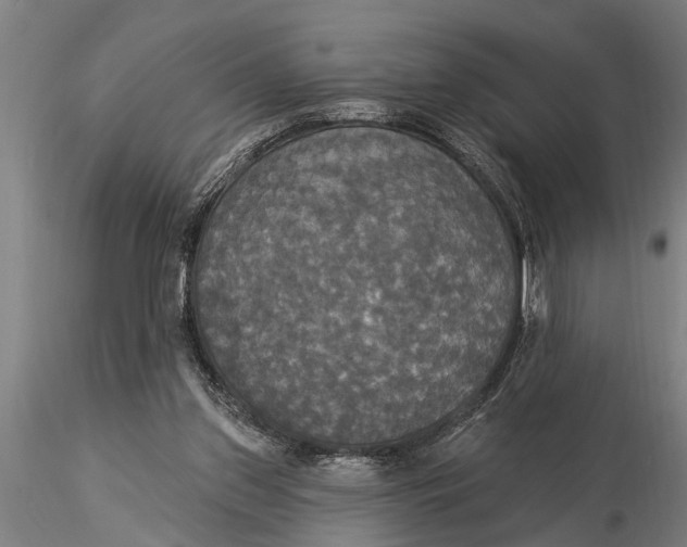 X0000116030157200912111424