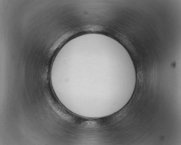 X0000116030159200912111424