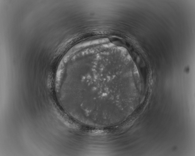 X0000116030161200912111424