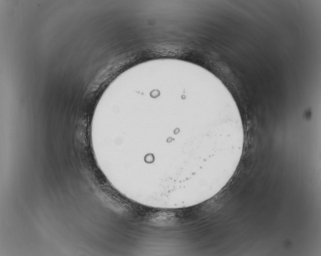 X0000116030162200912111424