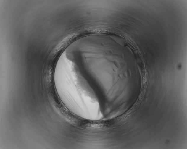 X0000116030163200912111424