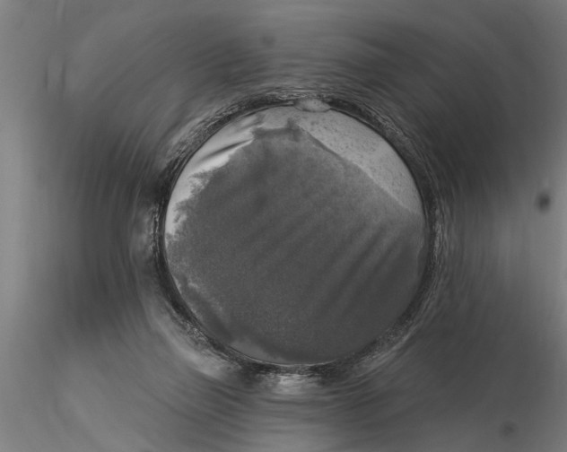 X0000116030165200912111424