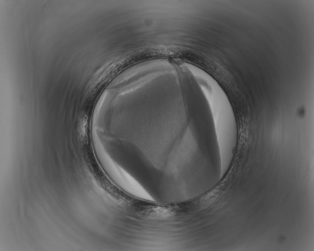 X0000116030166200912111424