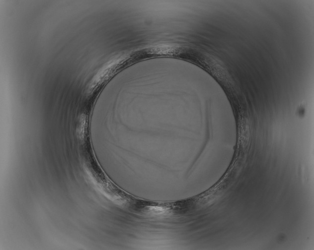 X0000116030167200912111424