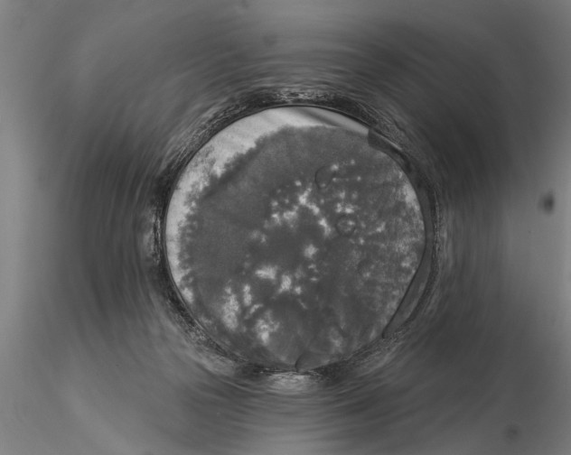 X0000116030169200912111424